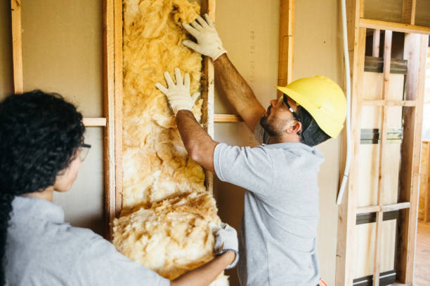 Professional Insulation in Falls City, OR